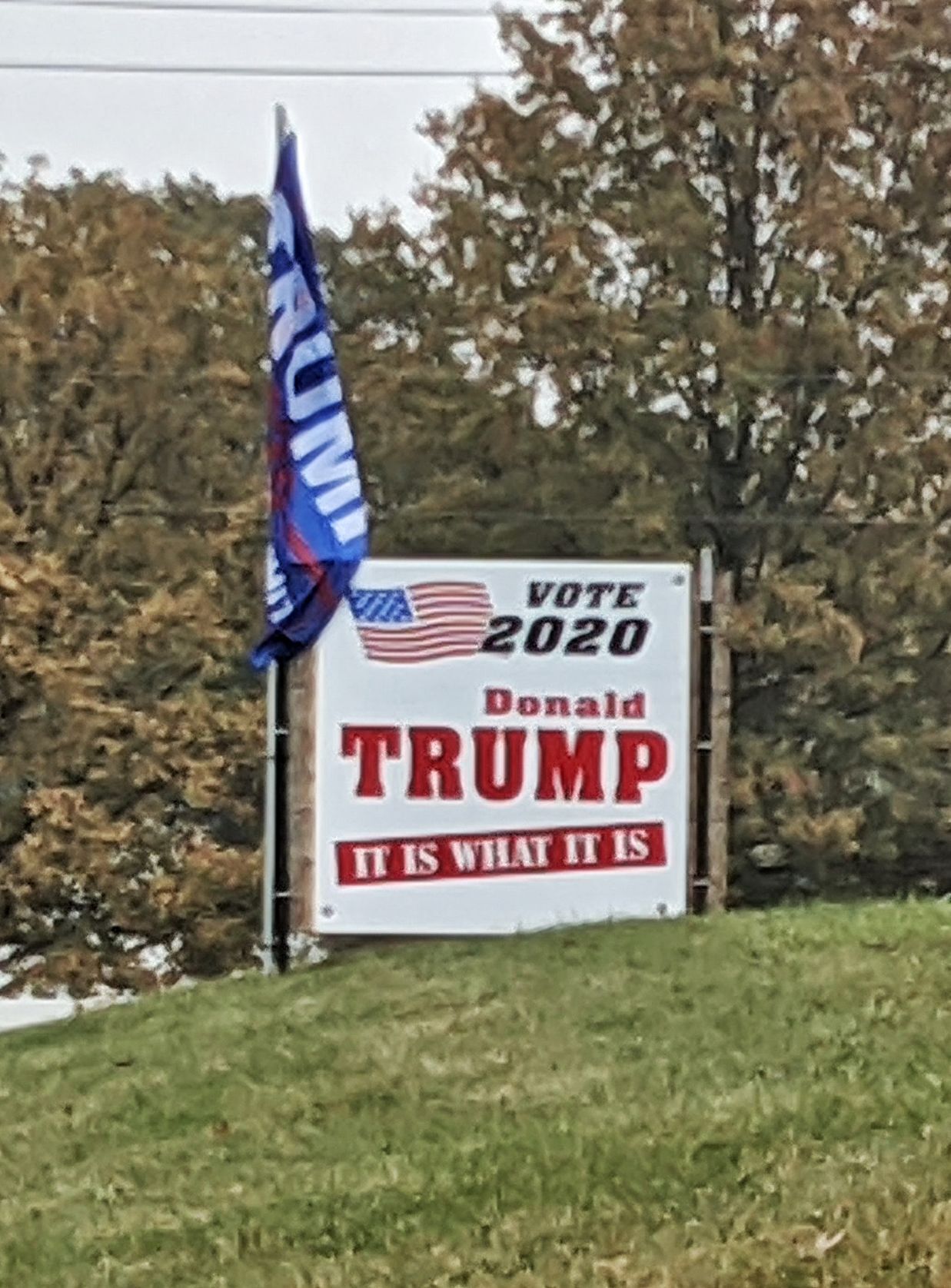 Trump 2020 - It is what it is